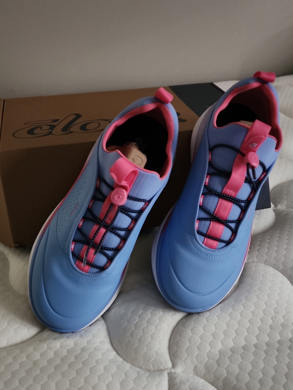 Clove Slip-On Women's Blue and Pink Athletic Sneakers